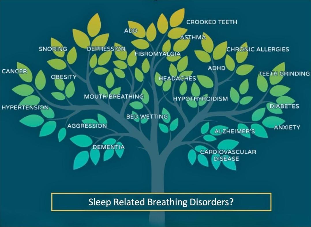 Functional Sleep Medicine Sleep Related Breathing Disorders Graphic showing tree of symptoms related to restricted airways and poor sleep. Sandpoint Priest River North Idaho